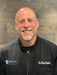 Portrait of Mr David Salomons,